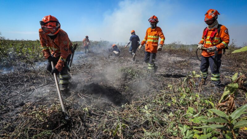 Corpo de Bombeiros combate 39 incêndios florestais em Mato Grosso nesta terça-feira (03)