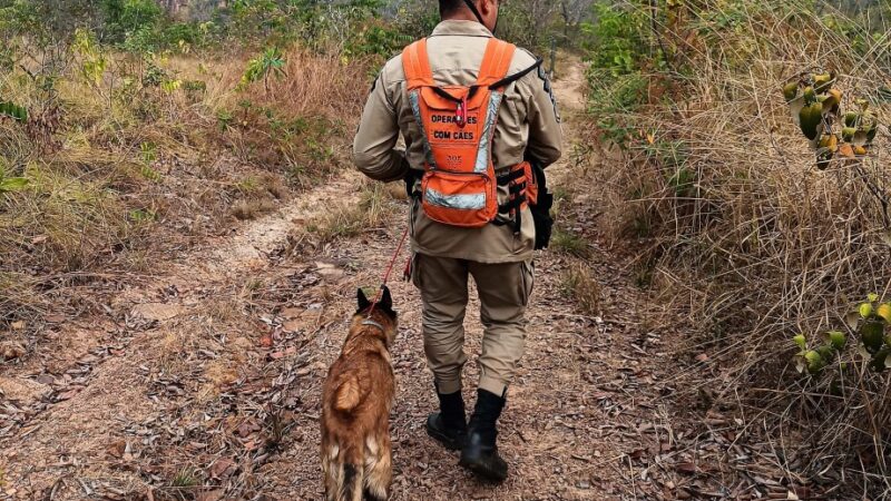 Bombeiros localizam corpo de homem desaparecido em Jaciara