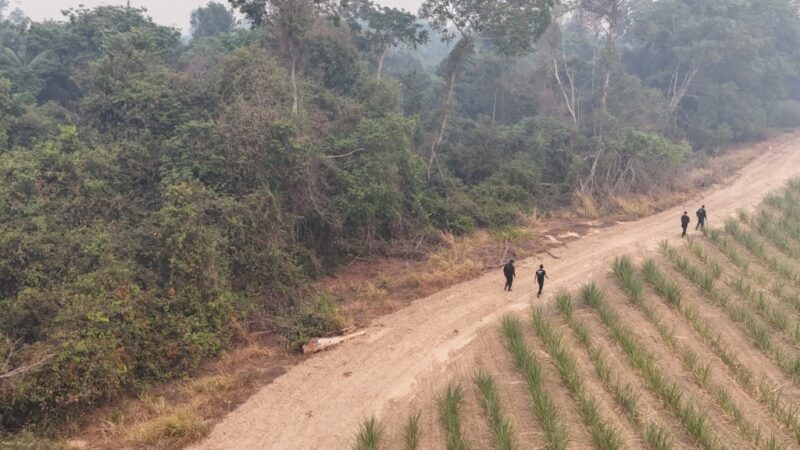 Polícia Civil localiza corpo de jovem desaparecido e prende quatro por homicídio e ocultação de cadáver