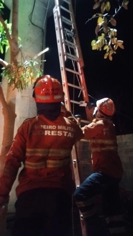 Bombeiros resgatam homem que ficou preso em caixa d’água a 15 metros de altura