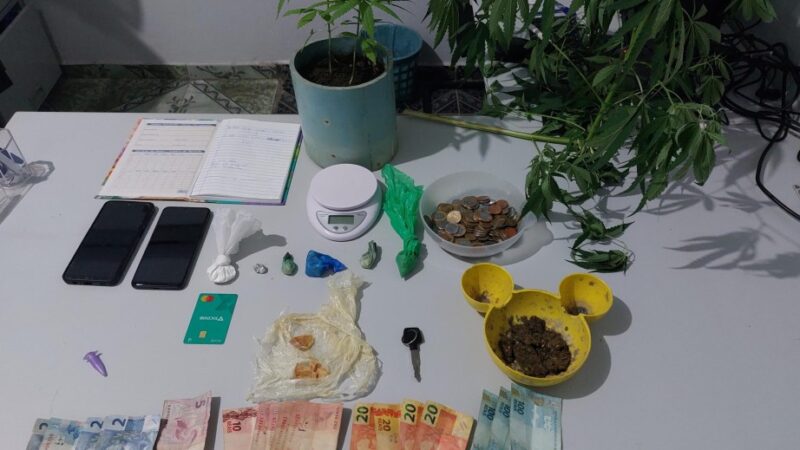 Casal é preso pela PM por tráfico de drogas e cultivo ilícito de maconha em Cotriguaçu