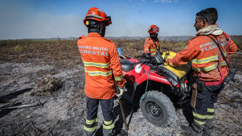 Corpo de Bombeiros combate 40 incêndios florestais nesta sexta-feira (06)