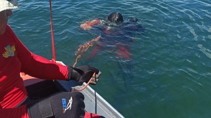Bombeiros localizam corpo de jovem que se afogou em lago de fazenda