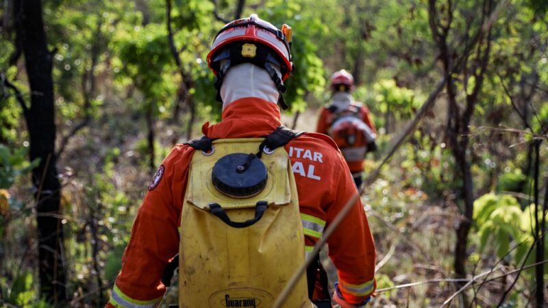 Bombeiros de MT combatem 41 incêndios florestais neste sábado (21)