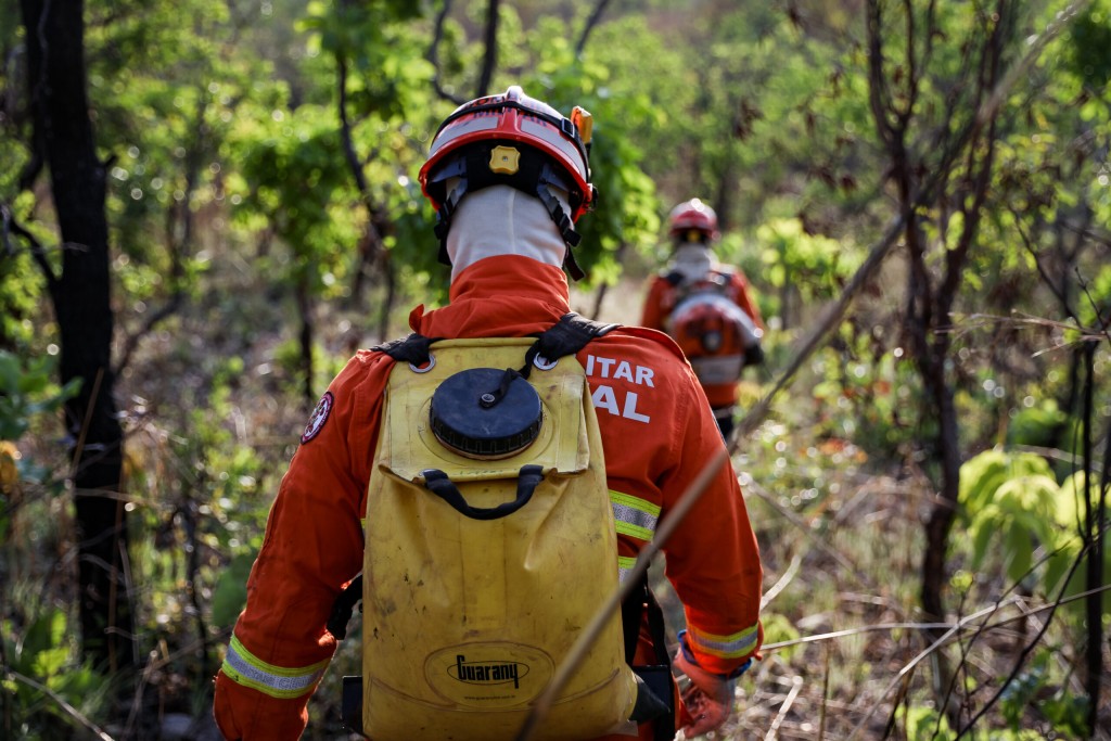 Corpo de Bombeiros combate nove incêndios florestais em Mato Grosso neste domingo (27)