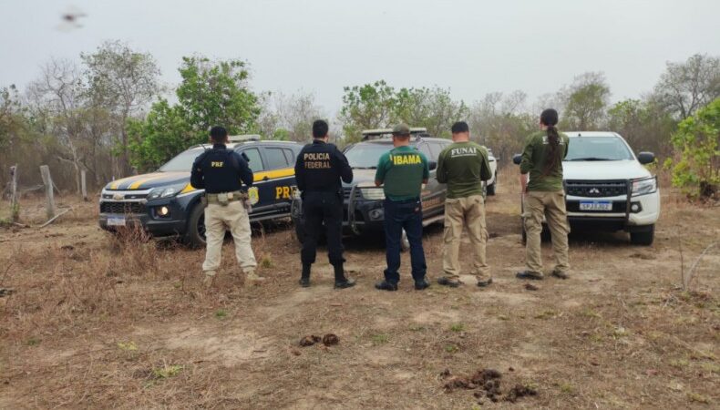 Polícia, IBAMA e Funai fazem operação contra crimes ambientais em terra indígena no Mato Grosso