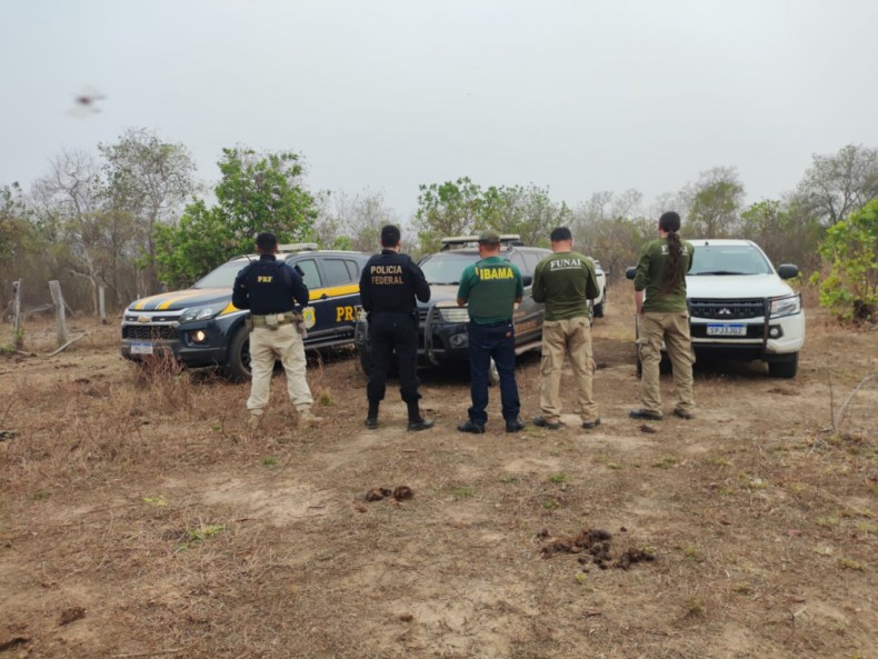 Polícia, IBAMA e Funai fazem operação contra crimes ambientais em terra indígena no Mato Grosso