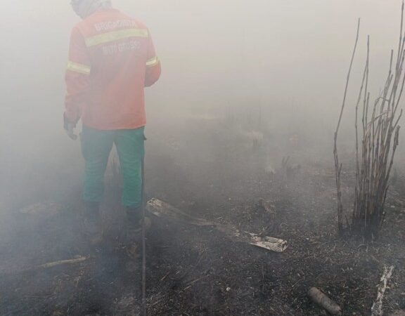 Bombeiros combatem foco de incêndio em terreno baldio