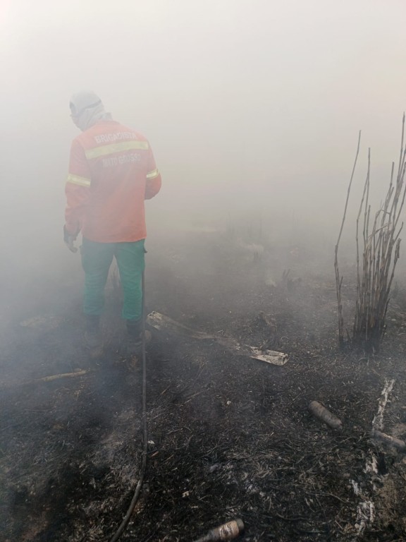 Bombeiros combatem foco de incêndio em terreno baldio
