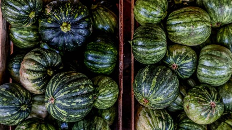 Seaf seleciona propostas de produtores rurais que queiram participar do Programa de Aquisição de Alimentos