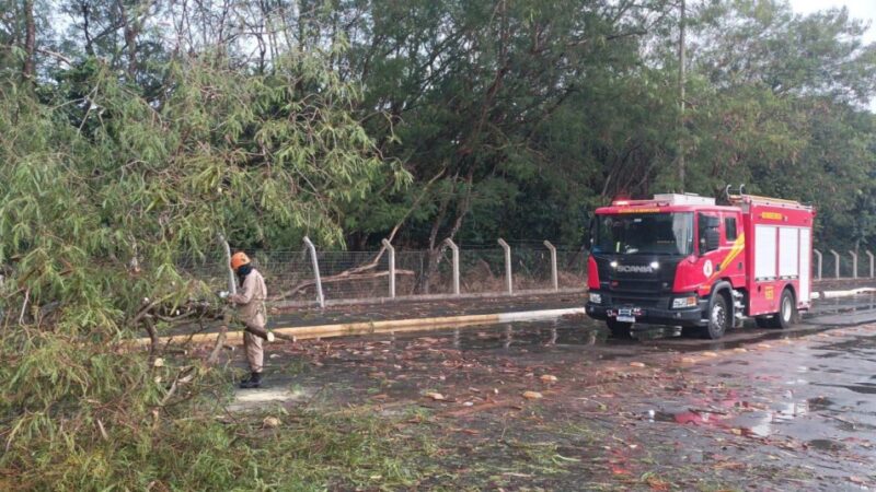 Corpo de Bombeiros alerta para riscos de acidentes durante as primeiras chuvas da temporada