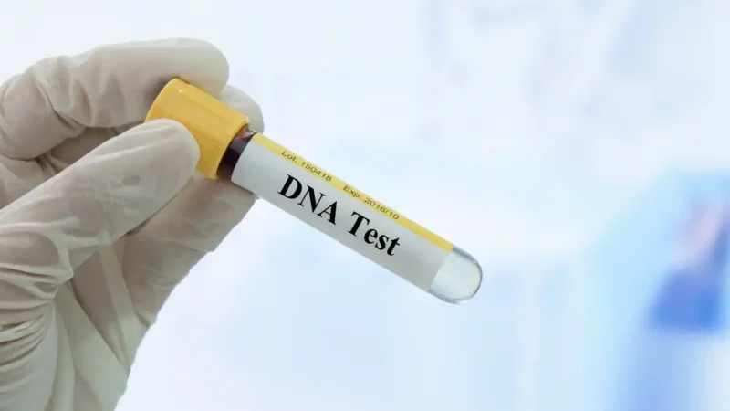 Saiba como solicitar exames de DNA através da Defensoria Pública