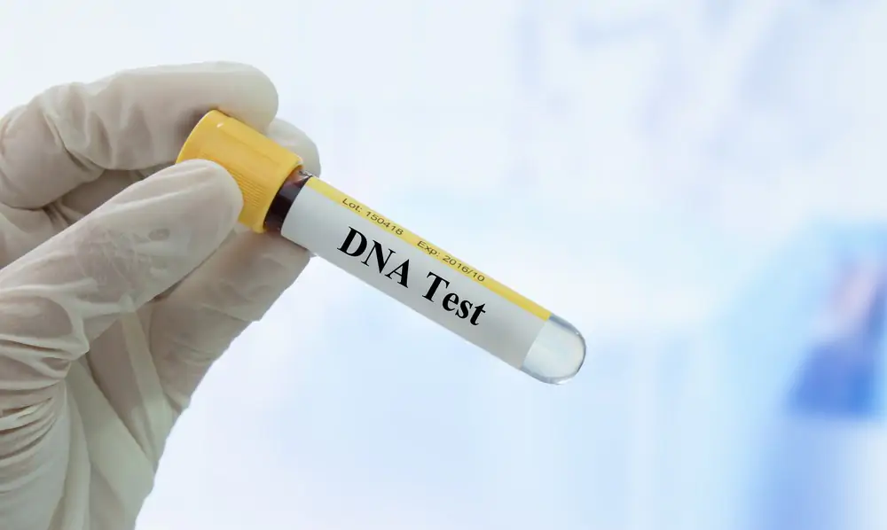 Saiba como solicitar exames de DNA através da Defensoria Pública