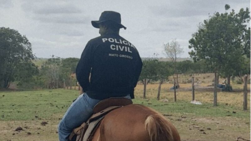 Polícias Civil e Militar prendem homem por furto de gado em Ribeirão Cascalheira e recuperam animais