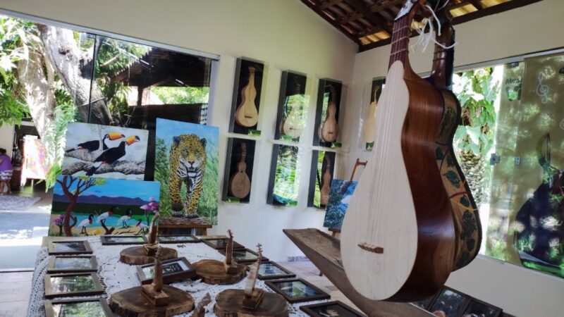 Documentário “Modo de Fazer Viola de Cocho” está disponível no Youtube