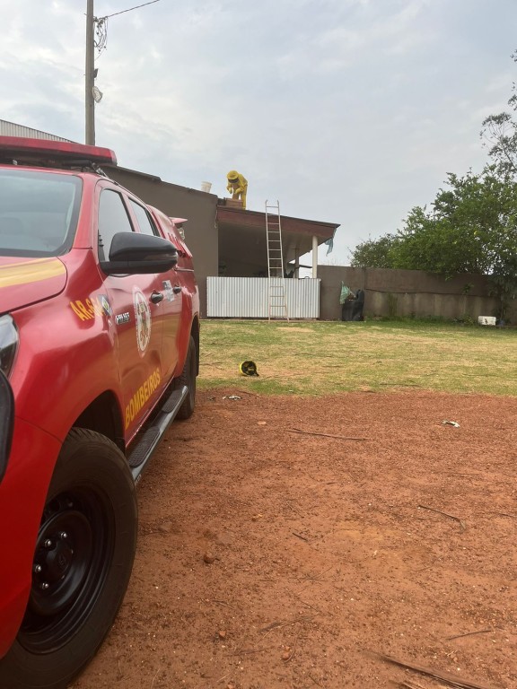 Bombeiros removem enxame de abelhas de forro de residência