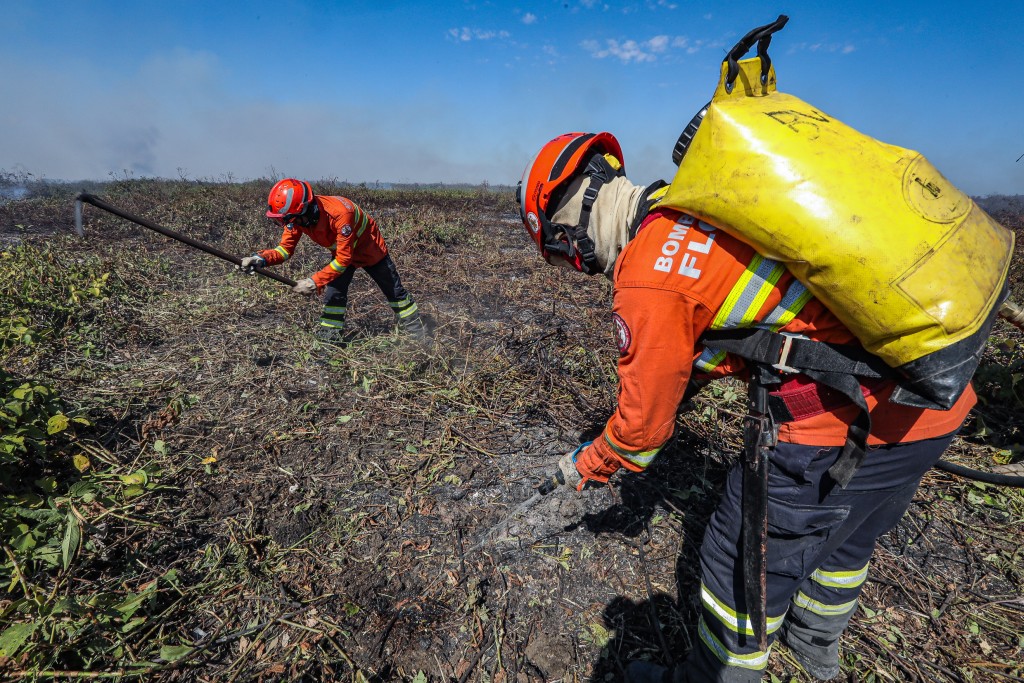 Corpo de Bombeiros combate 25 incêndios florestais em Mato Grosso nesta quarta-feira (09)