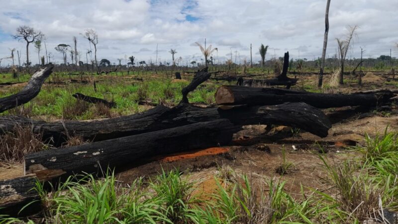 Operação Abafa Amazônia II fiscaliza áreas rurais no noroeste de MT