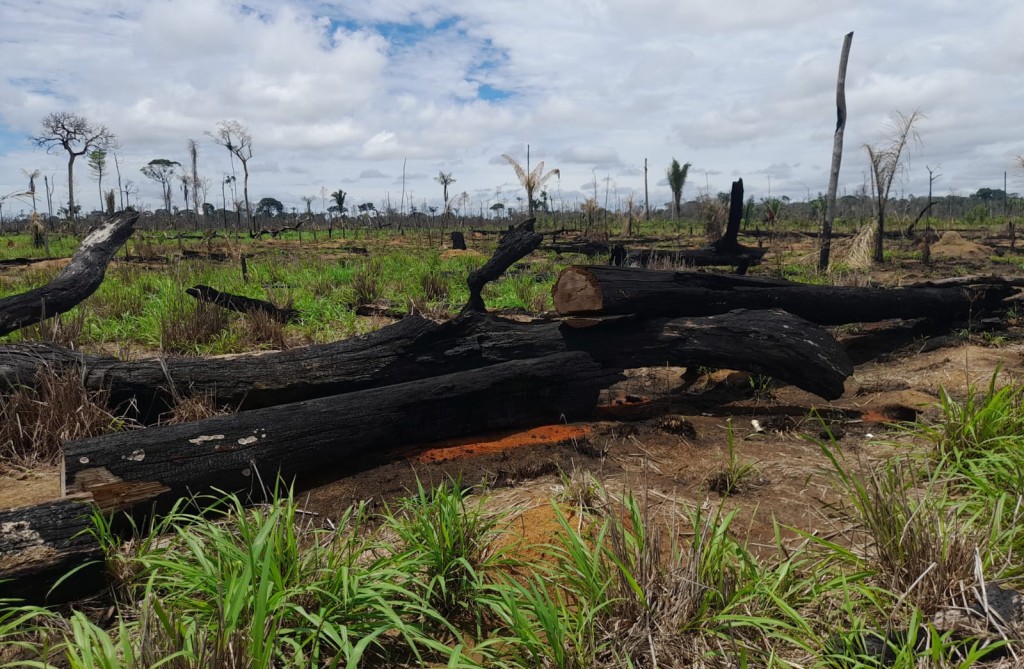 Operação Abafa Amazônia II fiscaliza áreas rurais no noroeste de MT