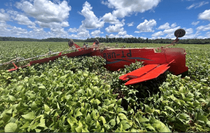 Avião que fez pouso forçado em lavoura no Nortão estava com óleo contaminado, segundo CENIPA