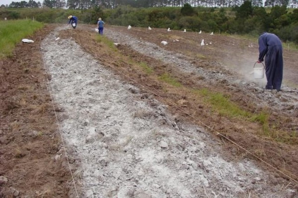 Projeto da Metamat utiliza rejeitos de mineração como insumos para fortalecer a agricultura em MT