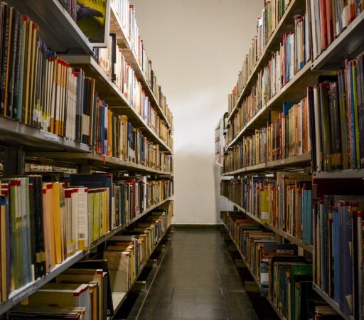 Biblioteca Estevão de Mendonça realiza palestra e oficina de dança africana em comemoração ao Dia da Consciência Negra