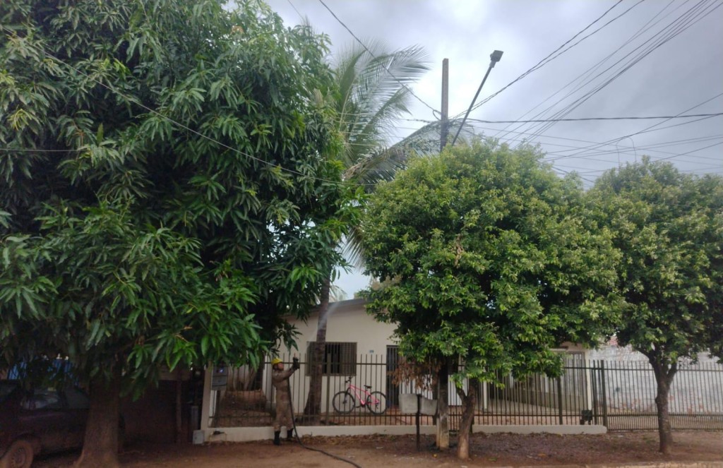 Princípio de incêndio em poste de energia elétrica é contido pelo Corpo de Bombeiros
