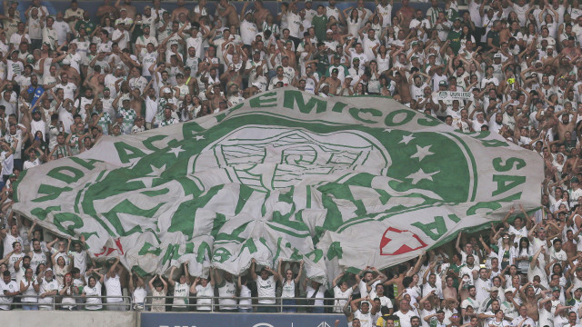 Palmeiras aposta em Allianz cheio em decisão contra Botafogo