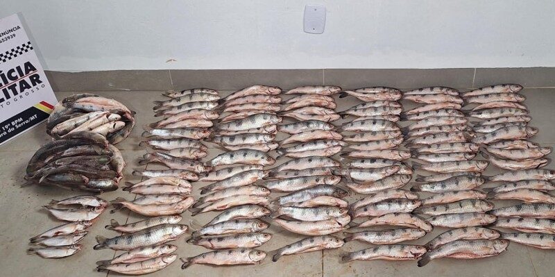PM apreende 152 unidades de pescado irregular e prende homem por crime ambiental