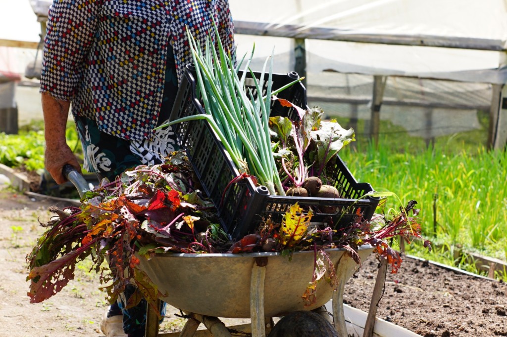 Com apoio da Seaf, Semana da Agroecologia começa nesta terça-feira (03) em Cuiabá