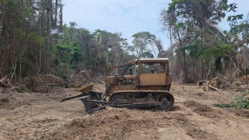 Sema apreende trator e madeira durante ação da Operação Amazônia em Alta Floresta