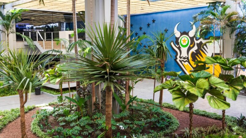 Governo de Mato Grosso divulga feriados e pontos facultativos de 2025