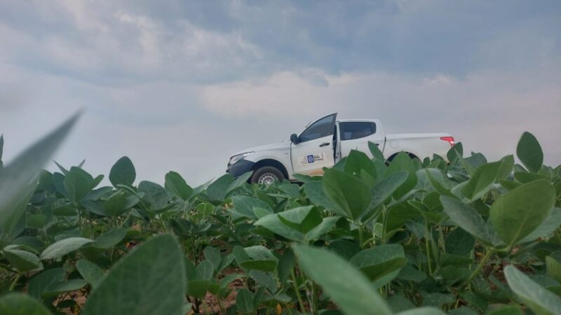 Prazo para plantio de soja em Mato Grosso termina no dia 07 de janeiro