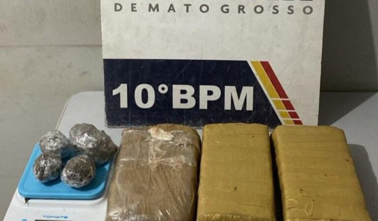 Polícia Militar desarticula ponto de venda de drogas e apreende tabletes de maconha