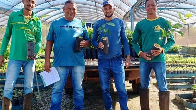 Garimpeiros continuam cumprindo os PRADs no Vale do Rio Peixoto