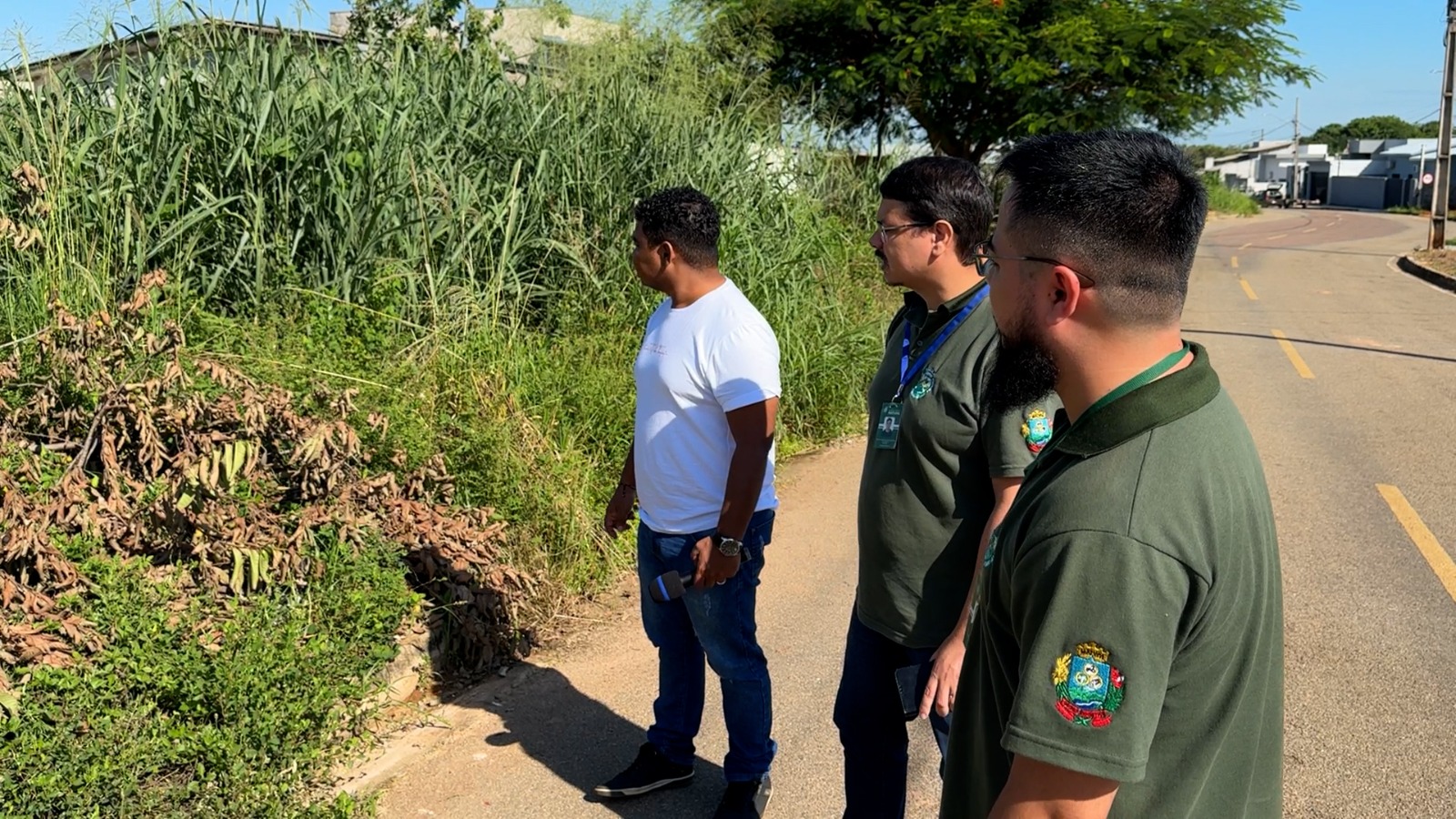 Multas Pesadas para Terrenos Sujos em Matupá: Evite Prejuízos!