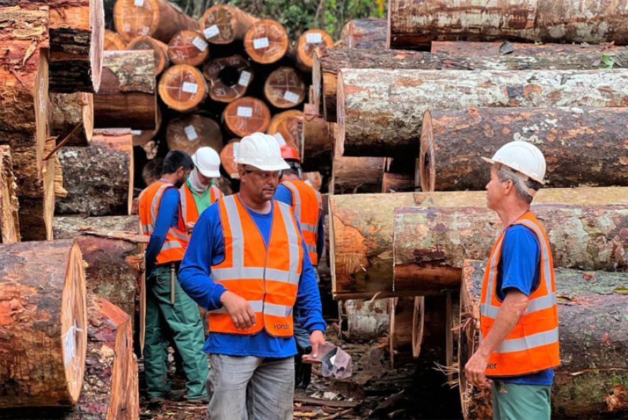 Decreto atualiza regras para transporte de produtos florestais em Mato Grosso