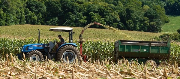 Secretaria de Agricultura de Colíder inicia atendimentos aos pequenos produtores