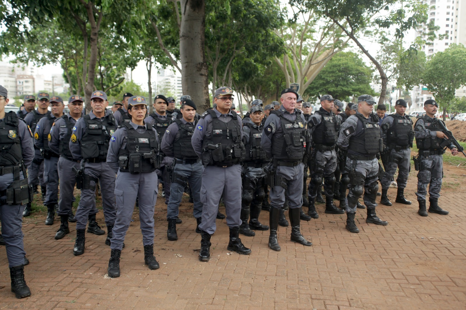 Polícia Militar prende 1.193 pessoas em flagrante em todo Estado durante Operação Tolerância Zero