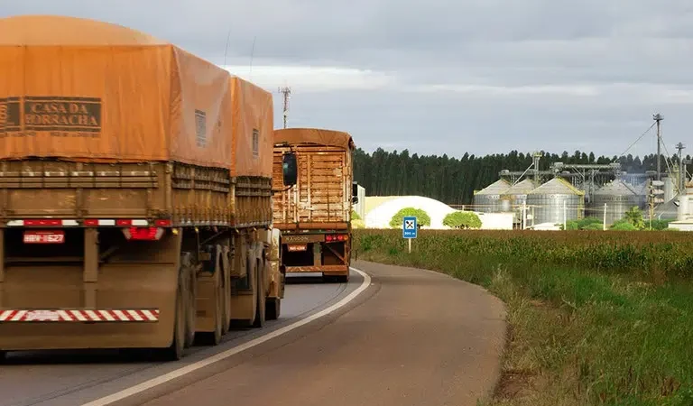 Safra recorde de soja vai impactar custo do frete já a partir de fevereiro