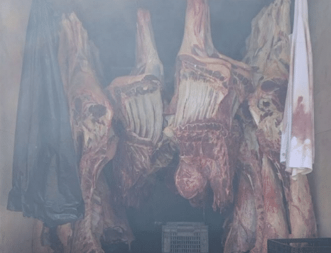 Indea apreende mais de 2 toneladas de carne imprópria para consumo em Mato Grosso