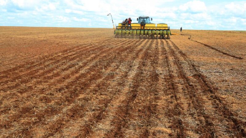 Indea prorroga prazo de cadastramento obrigatório de área cultivada de soja