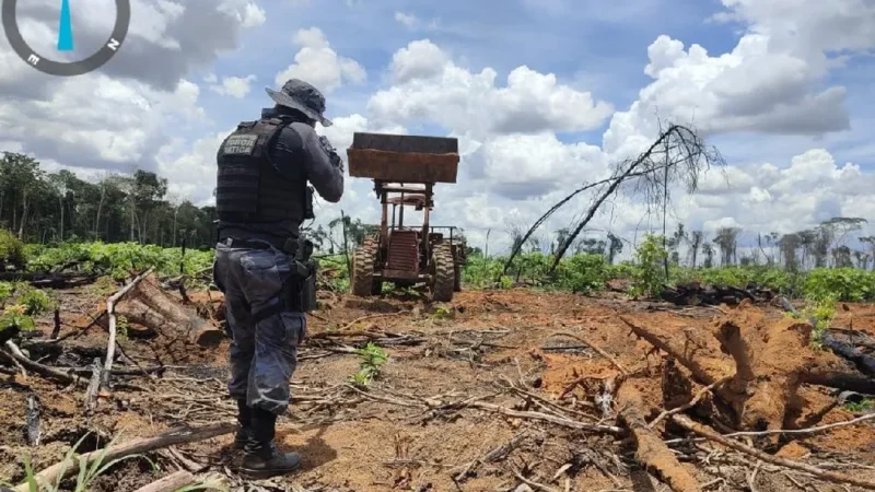 Municípios de MT estão na lista dos que mais desmatam Amazônia e Cerrado