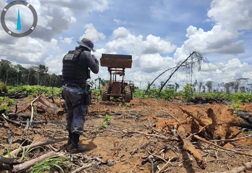 Municípios de MT estão na lista dos que mais desmatam Amazônia e Cerrado