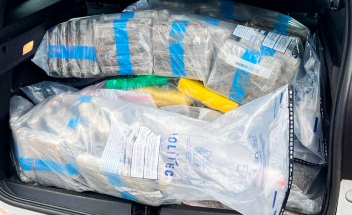 Polícia incinera meia tonelada de drogas apreendidas em operações no Mato Grosso