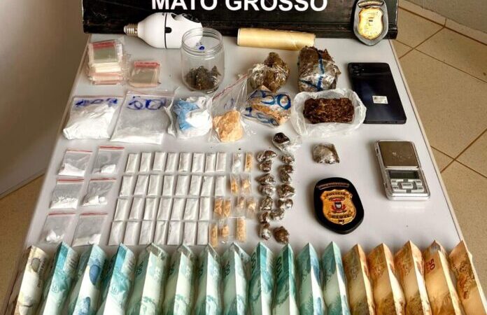 Polícia desarticula ponto de armazenamento de drogas no Nortão