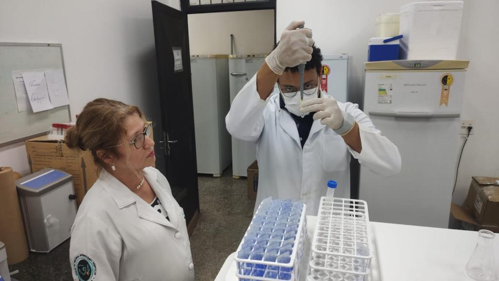 Pesquisadores de Mato Grosso descobrem nova espécie de fungo como causa da doença da Paracoccidioidomicose (PCM)
