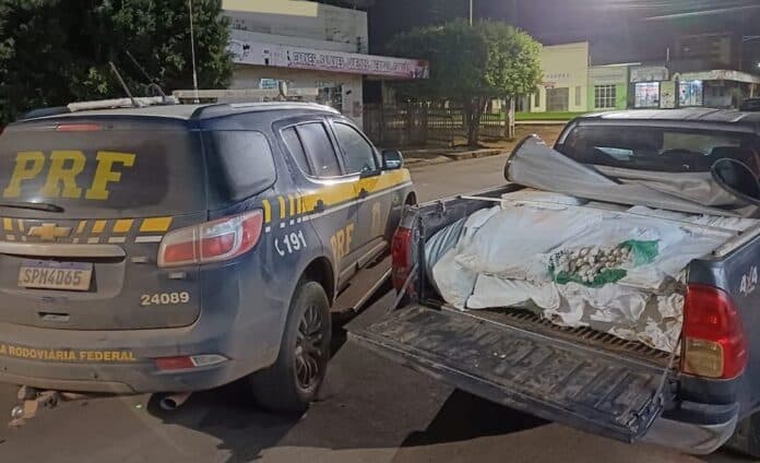 PRF apreende mais de 2,7 mil explosivos no Nortão; 2 presos