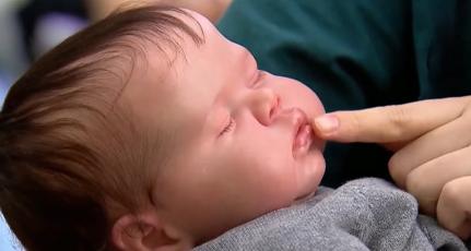 Deputado tem PL para saúde mental de ‘pais de reborn’