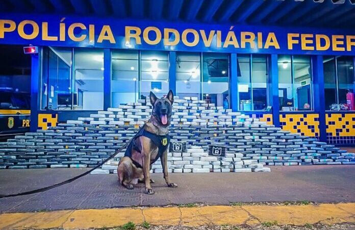 PRF apreende 400 quilos de cocaína e 100 munições em rodovia de Mato Grosso